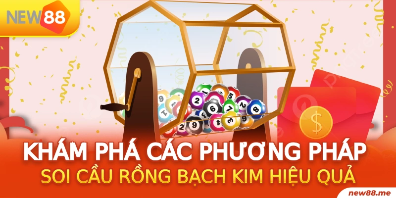shbey gà chọi