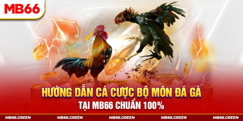 shbey slot là gi