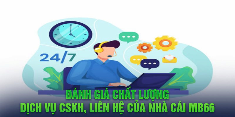 shbey đá gà hôm nay