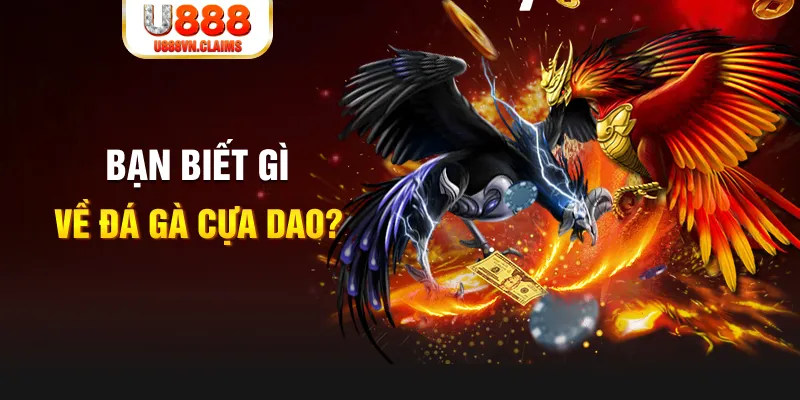 shbey SW Xổ Số