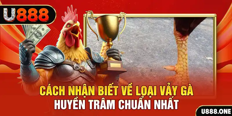 shbey đăng nhập nổ hũ số 1