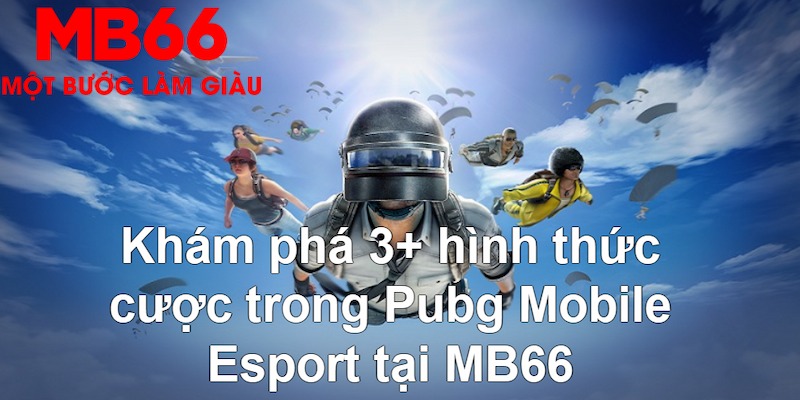shbey Tài Xỉu