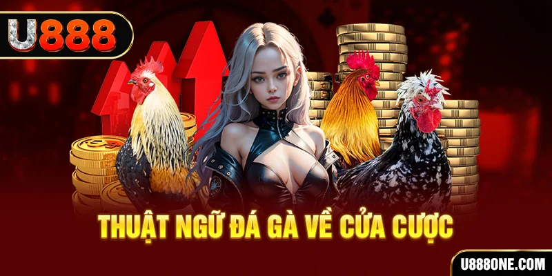 shbey hơn cả bạn bè