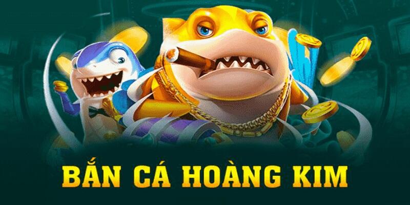 shbey gà chọi cậu thanh