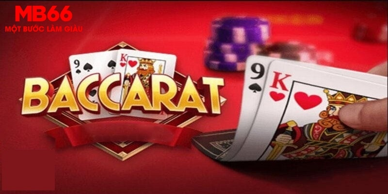shbey how to win at casino slots