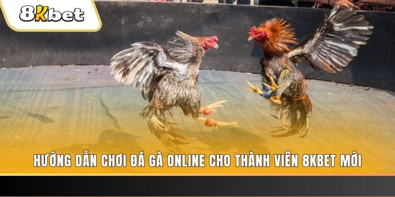 shbey JILI Game Bài 3d