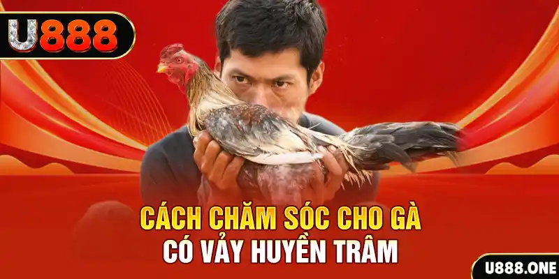 shbey bắn cá xèng 3