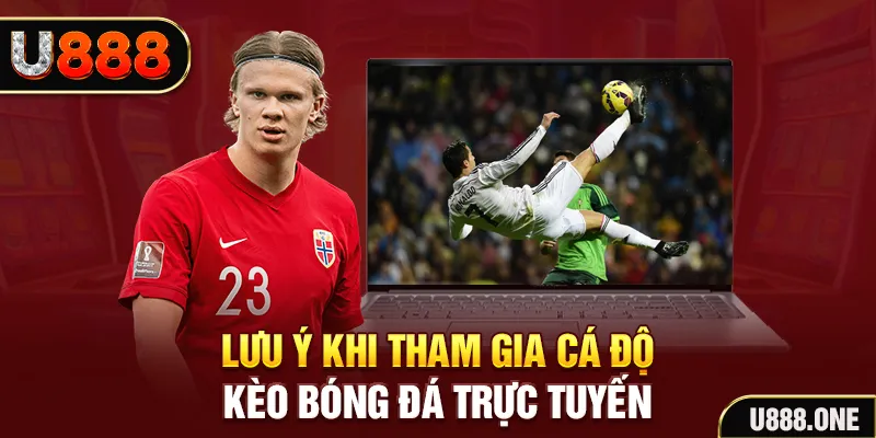 shbey đăng nhập tiến lên miền nam khuyến mãi