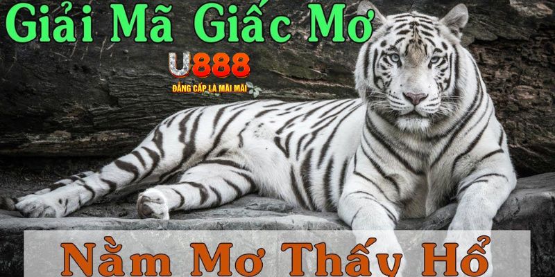shbey xổ số miền bắc xổ số miền bắc