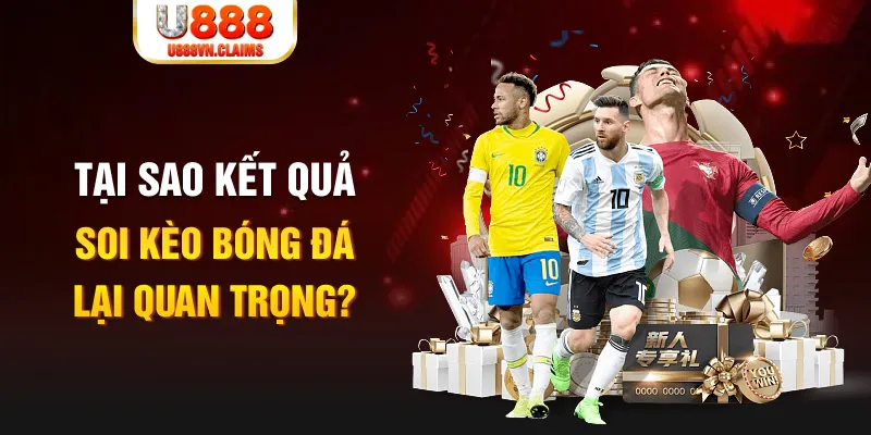 shbey Tôm Cua Cá 2