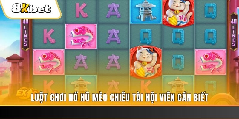 shbey máy bay nổ hủ