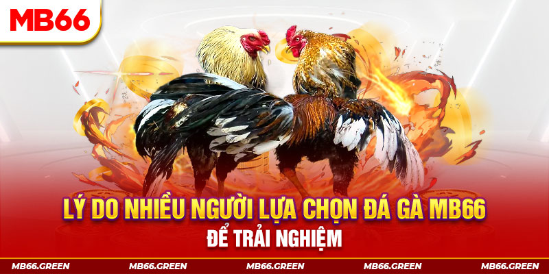shbey đăng nhập liêng trực tiếp