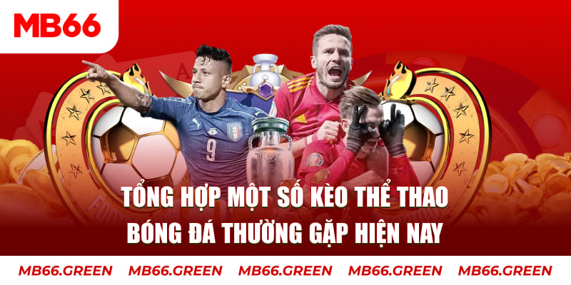 shbey người chia bài trong casino gọi là gì