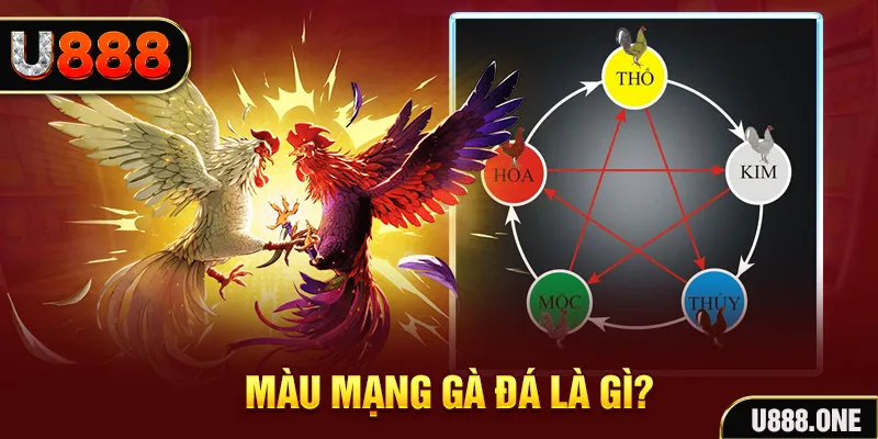 shbey xổ số miền trung thứ tư hàng tuần