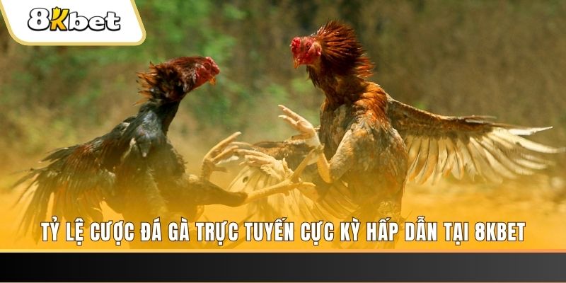 shbey đăng nhập nổ hũ trực tuyến