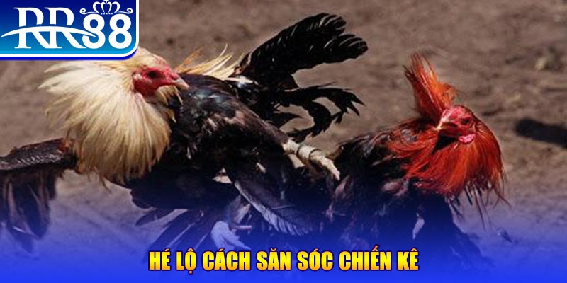 shbey xổ số miền trung thứ tư