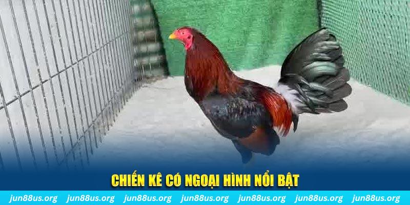 shbey game bắn cá