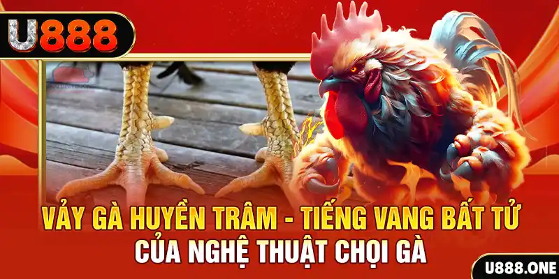 shbey đăng nhập roulette trực tuyến